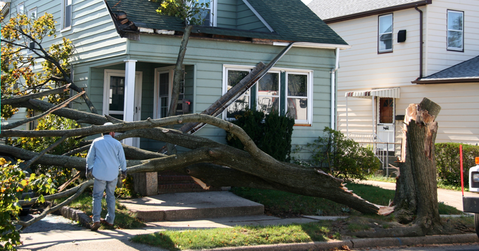 Most-common-claims-from-Australian-landlords