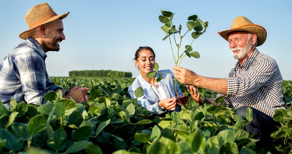 Amid-risk_-Australian-agriculture-has-reason-to-be-optimistic