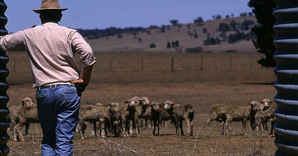 Hot-dry-summer-ahead